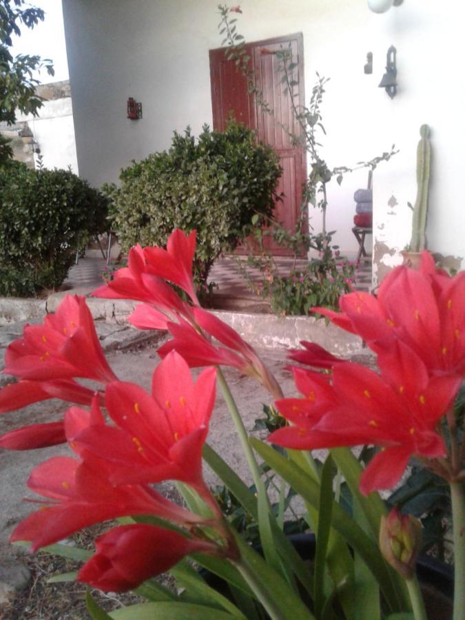 Hotel Ferme Walila Fertassa Exterior foto